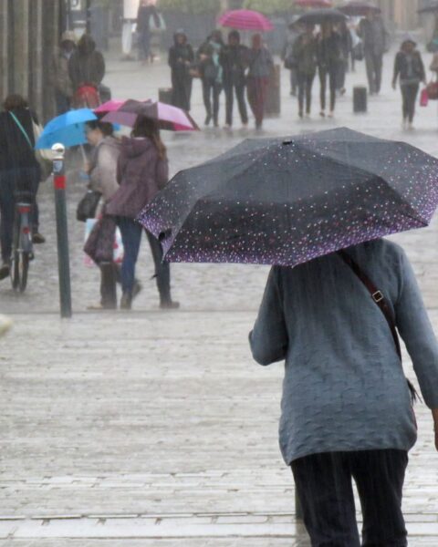 L'Ille-et-Vilaine lève son alerte sécheresse après des pluies récentes
