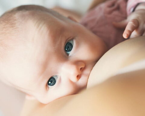 Miel et allaitement : les recommandations pour éviter le botulisme infantile en France