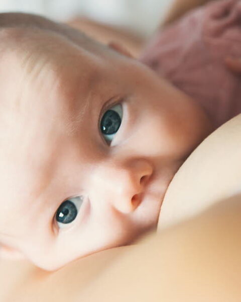 Miel et allaitement : les recommandations pour éviter le botulisme infantile en France