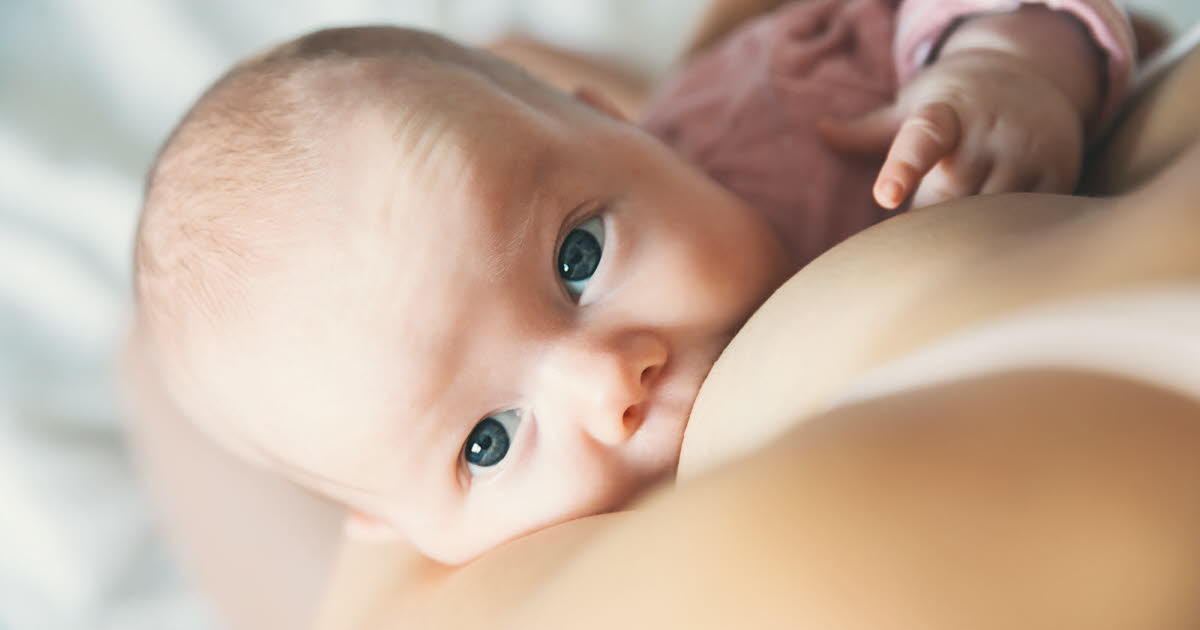 Miel et allaitement : les recommandations pour éviter le botulisme infantile en France