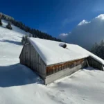 Prédiction d'un Noël blanc : jusqu'à 1 mètre de neige prévu dans ces stations prisées.