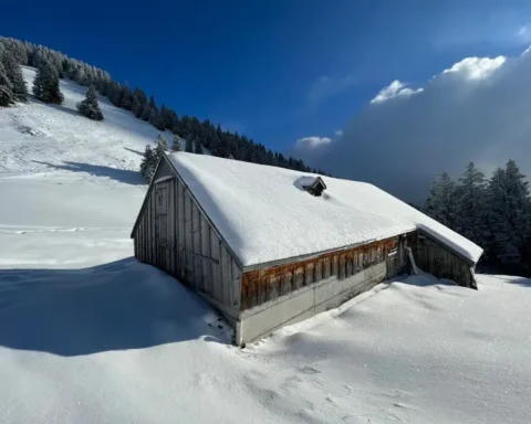 Prédiction d'un Noël blanc : jusqu'à 1 mètre de neige prévu dans ces stations prisées.