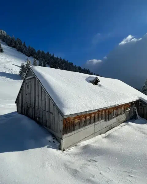 Prédiction d'un Noël blanc : jusqu'à 1 mètre de neige prévu dans ces stations prisées.