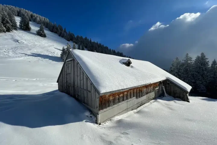 Prédiction d'un Noël blanc : jusqu'à 1 mètre de neige prévu dans ces stations prisées.