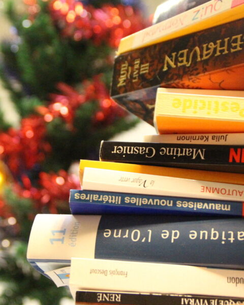 Quel livre choisir pour Noël ? Les recommandations de notre rédaction
