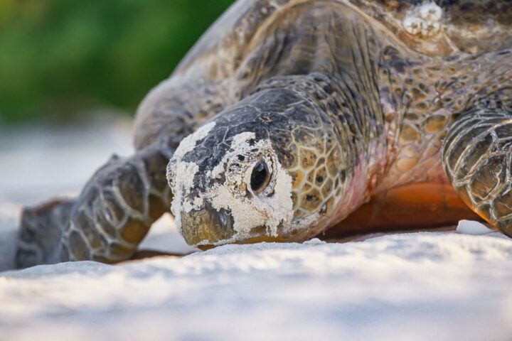 Sept bonnes nouvelles à retenir cette année