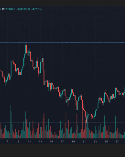 Stellar augmente de 2 % alors que le volume de transactions signale un intérêt institutionnel