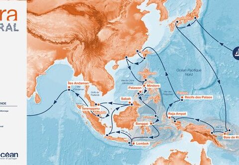 Tara lance une expédition pour étudier les coraux résistants au changement climatique dans le Pacifique