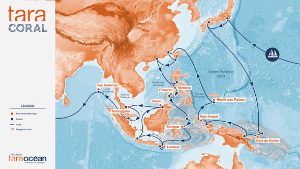 Tara lance une expédition pour étudier les coraux résistants au changement climatique dans le Pacifique