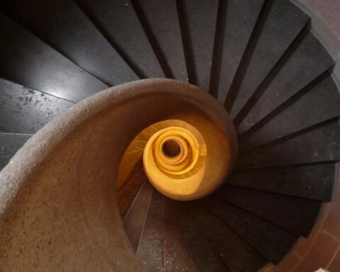 Un analyste prédit un bitcoin à 10 000 dollars, des risques accrus pour ETH, ADA, XRP