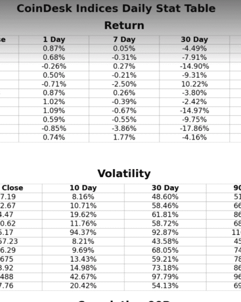 XRP et solana affichent une volatilité deux fois plus élevée que celle de bitcoin en 2025