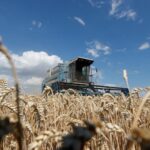 Le blé dur ukrainien renforce la stabilité des approvisionnements du marché italien