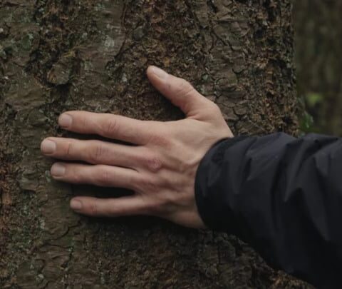 À l'affiche : « Forêt rouge », « Jusqu'à l'aube », « Laguna », « Abel »