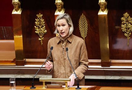 Adoption d'une loi interdisant les réseaux sociaux aux moins de 15 ans à l'Assemblée nationale