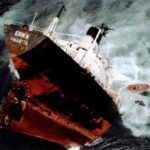 Bretagne : des oiseaux mazoutés retrouvés, l’Erika pointé du doigt 26 ans après son naufrage