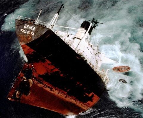 Bretagne : des oiseaux mazoutés retrouvés, l’Erika pointé du doigt 26 ans après son naufrage