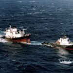 Bretagne : des oiseaux mazoutés signalent une possible fuite de pétrole de l’Erika 26 ans après son naufrage