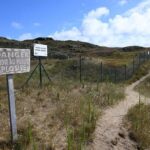 Cézembre : appel à projets pour un restaurant sur une île marquée par les bombardements de la Seconde Guerre mondiale