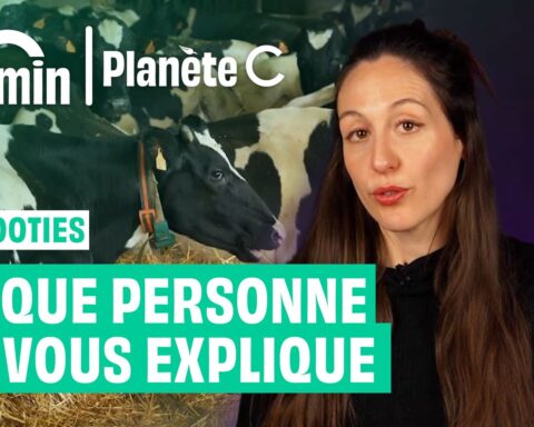 Épizooties en Europe : comprendre les menaces sanitaires à l'élevage moderne