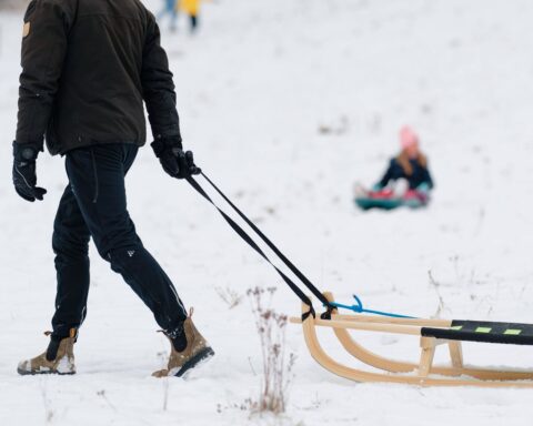 Grand froid en France : comprendre la différence entre température réelle et ressentie