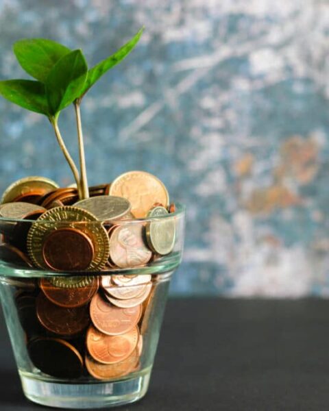 Investir en 2026 : les meilleures options pour placer son argent efficacement.