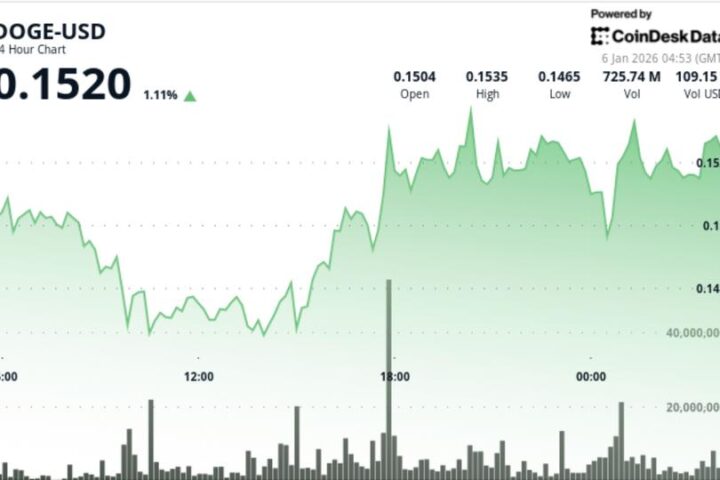 Le Dogecoin 2x ETF se classe parmi les meilleurs pour 2026 après un rebond en V du DOGE