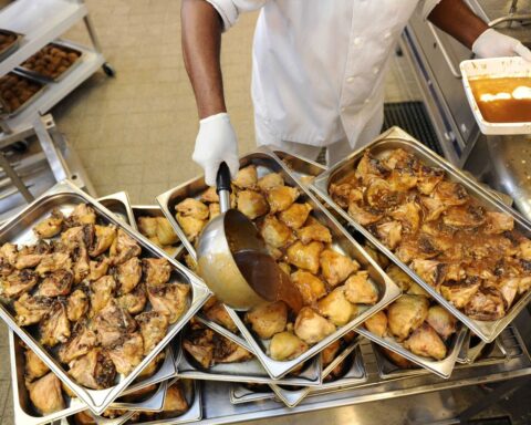 Le poulet des cantines scolaires françaises est-il vraiment majoritairement ukrainien ?