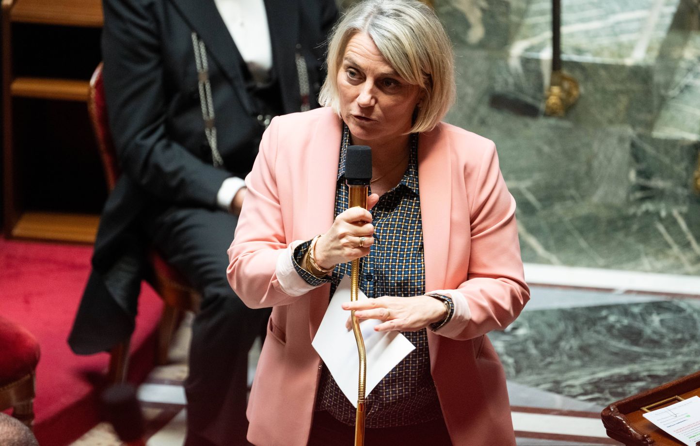 Législative partielle dans le Loiret : Stéphanie Rist défend son poste dimanche face à la gauche et au RN