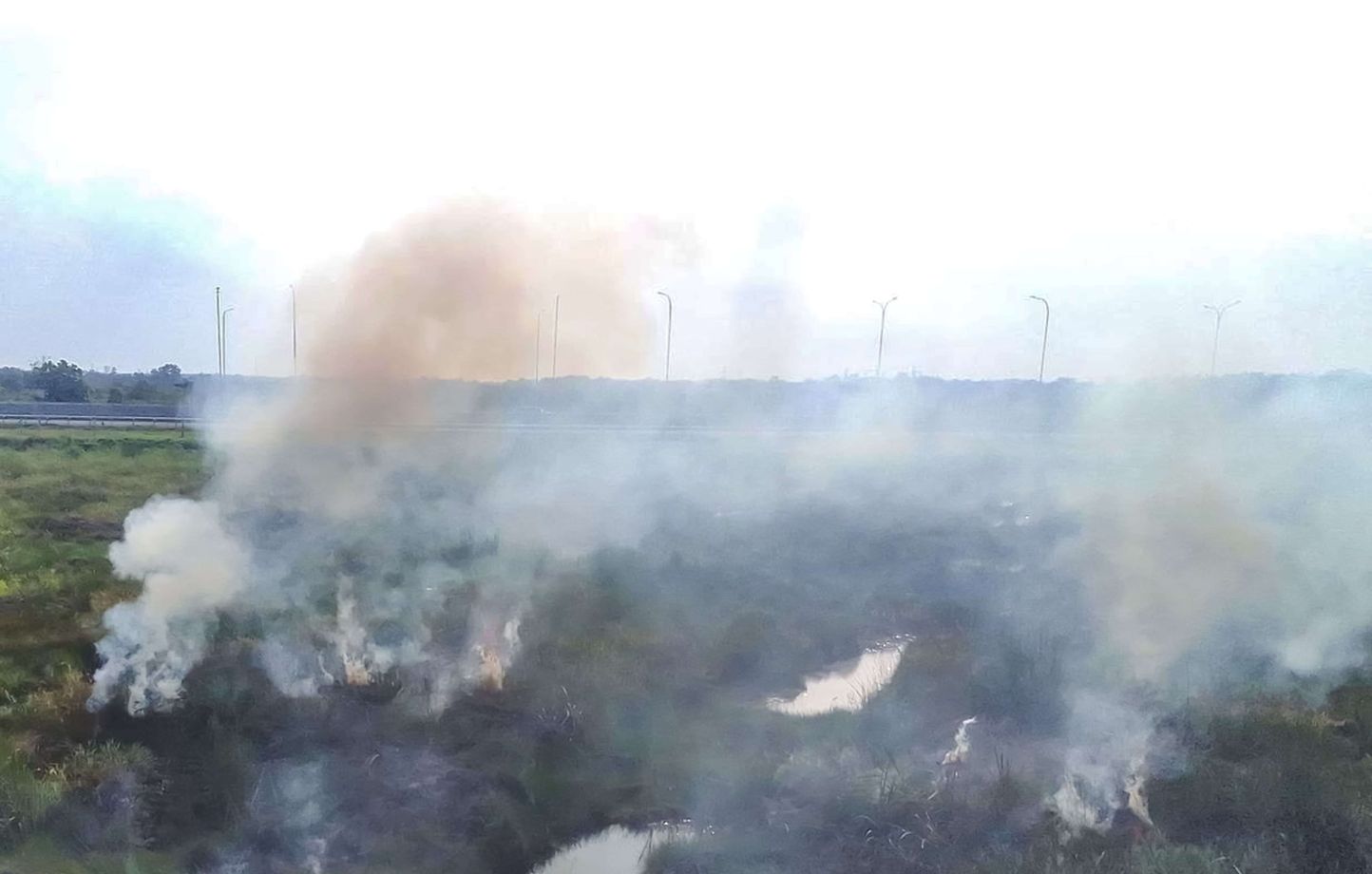 Les petites déforestations, plus nuisibles que les grandes coupes, selon une étude publiée dans Nature