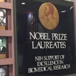 L'eugénisme à travers la banque de sperme des lauréats du prix Nobel : l'histoire controversée d'une quête de « superbébés »