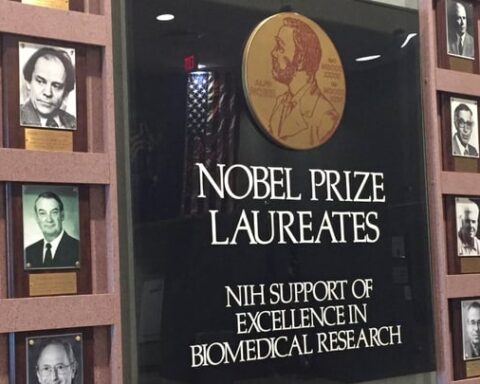 L'eugénisme à travers la banque de sperme des lauréats du prix Nobel : l'histoire controversée d'une quête de « superbébés »