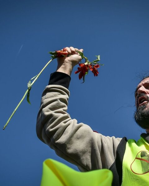Lyon : Francis Lalanne rejoint le mouvement Spartacus pour les municipales de 2026