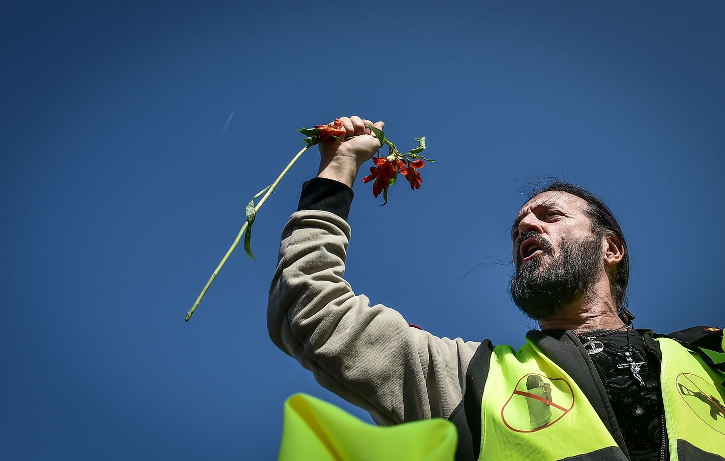 Lyon : Francis Lalanne rejoint le mouvement Spartacus pour les municipales de 2026