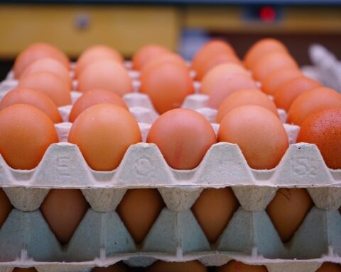 Pénurie d’œufs : comprendre les causes d'une tension sur le marché