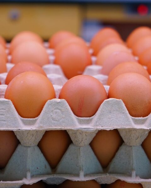 Pénurie d’œufs : comprendre les causes d'une tension sur le marché