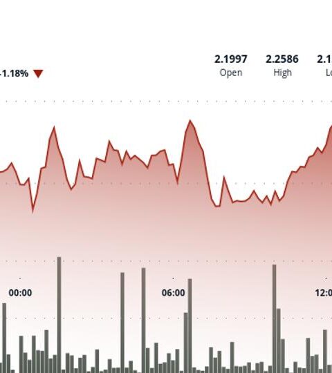Polkadot's DOT теряет позиции на фоне резкого падения на крипторынке в США