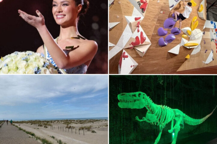 Rencontre avec Miss France : idées de sorties ensoleillées dans le Nord ce samedi