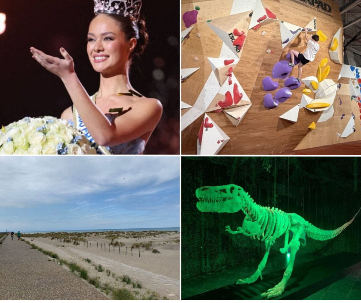 Rencontre avec Miss France : idées de sorties ensoleillées dans le Nord ce samedi