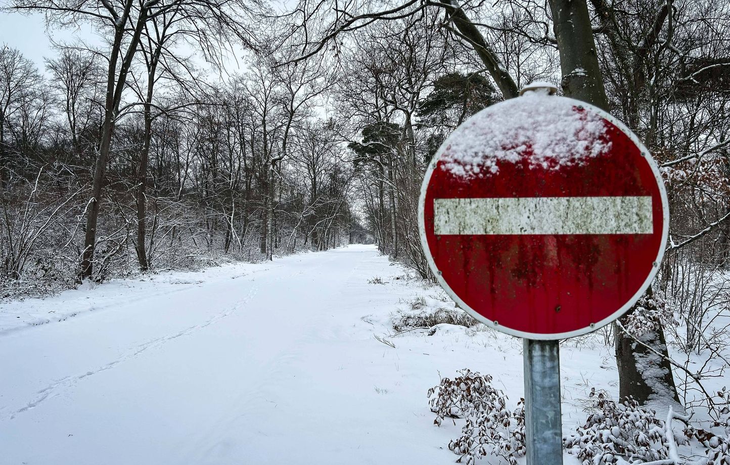 Températures glaciales en France : -22°C à Mouthe, records battus depuis 2018
