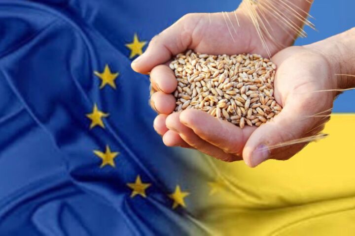 Les produits biologiques ukrainiens, pilier stratégique des chaînes d’approvisionnement de l’UE