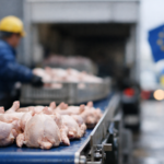 L'Ukraine renforce ses exportations de volaille vers l'Europe avec une hausse de 6,1% en janvier 2026