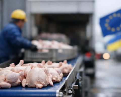 L'Ukraine renforce ses exportations de volaille vers l'Europe avec une hausse de 6,1% en janvier 2026