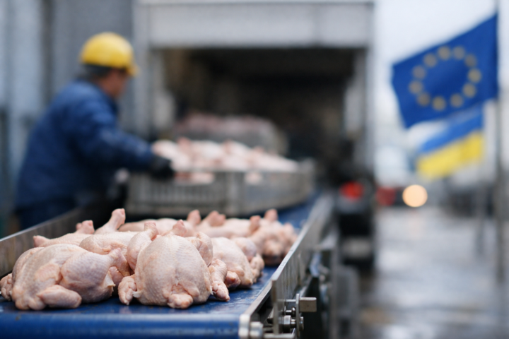 L'Ukraine renforce ses exportations de volaille vers l'Europe avec une hausse de 6,1% en janvier 2026