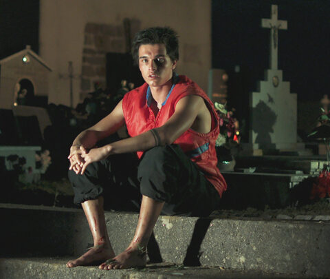 À l'affiche : « Justa », « Orwell : 2+2=5 » et « 5 centimètres par seconde » explorent les défis de la traduction et de la mémoire