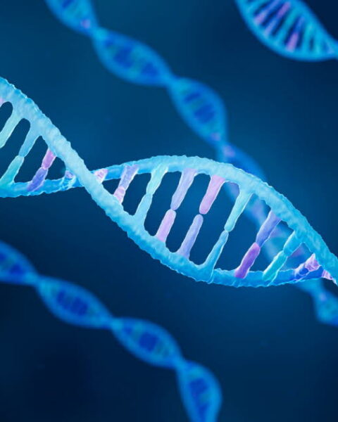 Catherine O’Hara et le situs inversus : comprendre cette mutation génétique rare