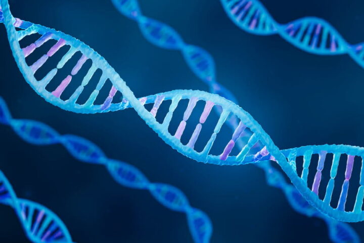 Catherine O’Hara et le situs inversus : comprendre cette mutation génétique rare