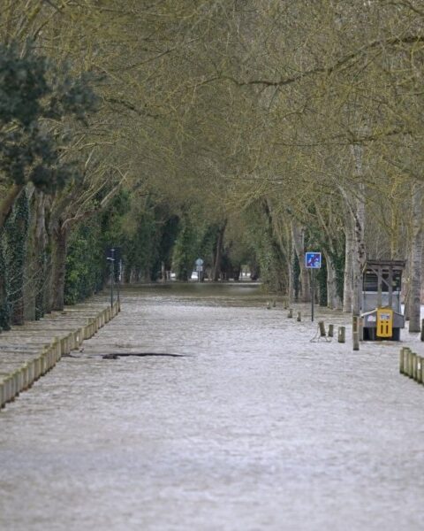 Crues majeures en Loire : évacuations de détenus à Saintes et routes coupées près d'Angers