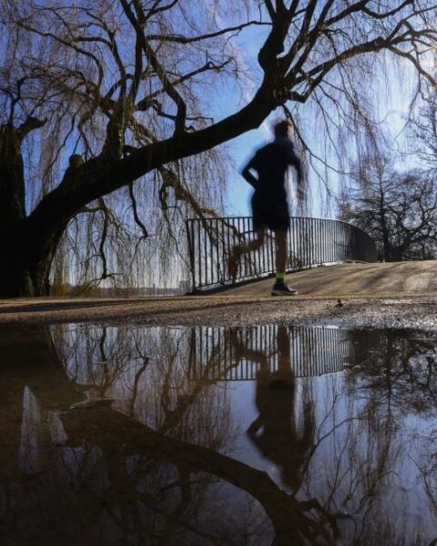 Des températures record pour fin février en France soulèvent des questions sur le climat