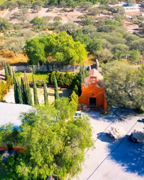 Enlèvement ou mise en scène ? Le mystère autour de Nancy Guthrie suscite l'inquiétude nationale.
