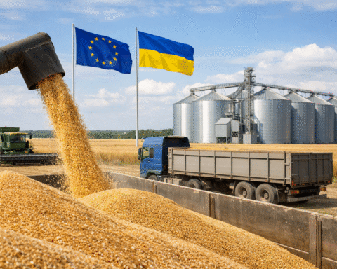 L'Ukraine devient un pilier stratégique pour la sécurité céréalière de l'Union européenne